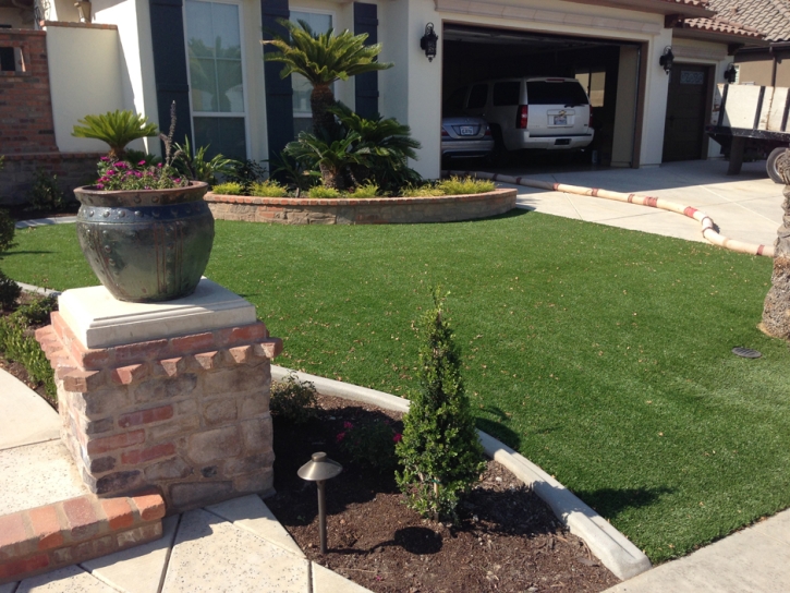 Grass Turf Honolulu, Hawaii Design Ideas, Front Yard Landscaping Ideas