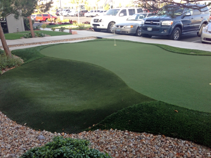 Grass Turf Kahaluu-Keauhou, Hawaii Outdoor Putting Green, Commercial Landscape