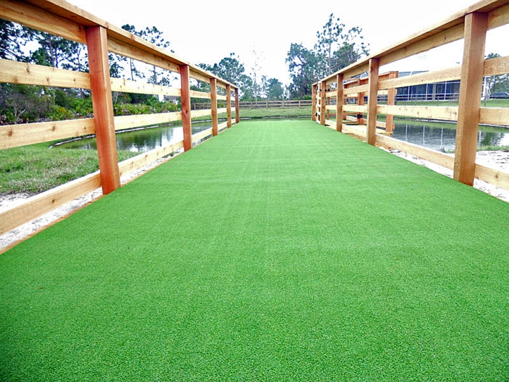 Grass Turf Kaneohe Station, Hawaii Pet Turf, Commercial Landscape