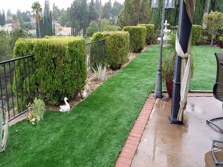 Grass Turf Pepeekeo, Hawaii Rooftop, Beautiful Backyards