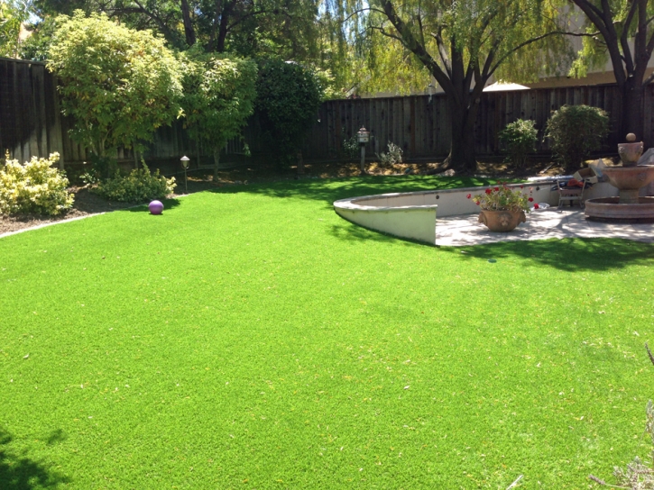 Green Lawn Leilani Estates, Hawaii Landscaping Business, Beautiful Backyards