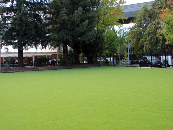 Green Lawn Wainaku, Hawaii Home And Garden, Commercial Landscape