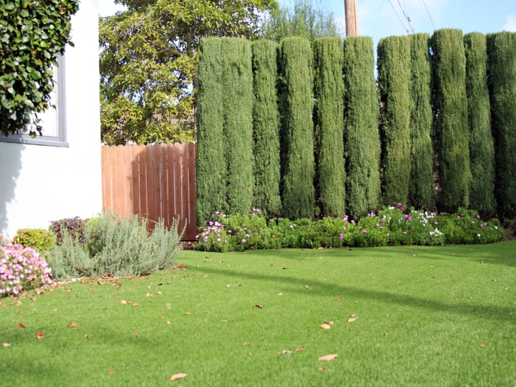 How To Install Artificial Grass Waikapu, Hawaii Design Ideas, Front Yard Landscape Ideas