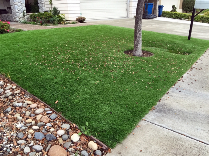 Installing Artificial Grass Kaunakakai, Hawaii Roof Top, Front Yard