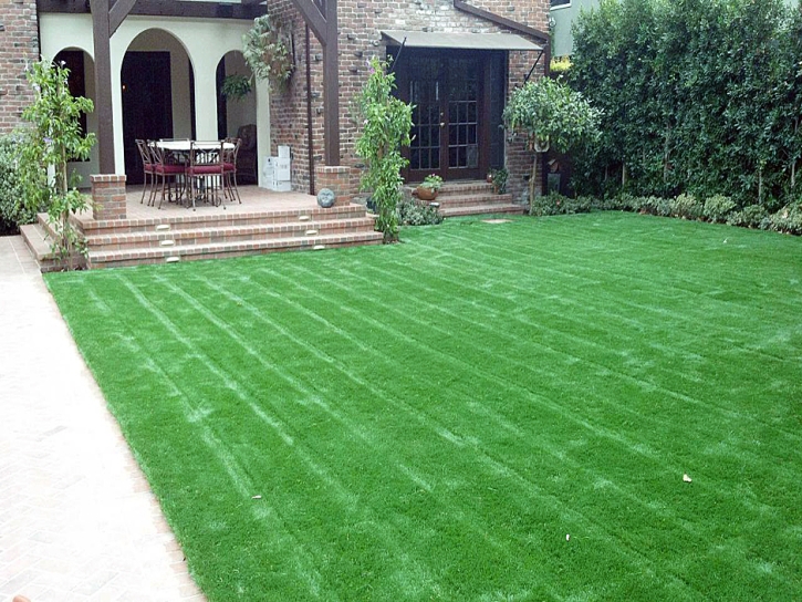 Installing Artificial Grass Whitmore Village, Hawaii Lawns, Front Yard Landscaping Ideas