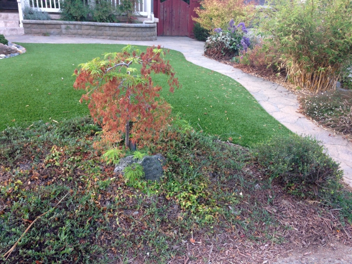 Outdoor Carpet Hana, Hawaii Landscape Rock, Front Yard