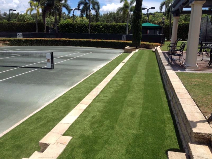 Outdoor Carpet Waialua, Hawaii Rooftop, Commercial Landscape