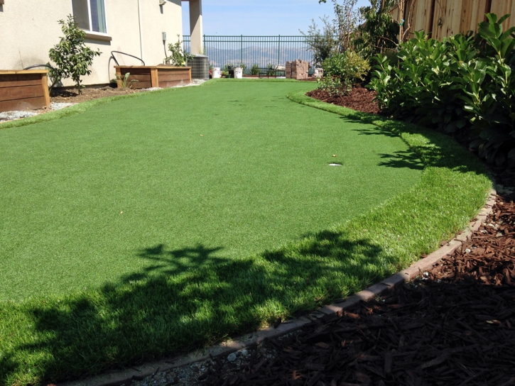 Outdoor Carpet Waiohinu, Hawaii Paver Patio, Backyard Landscaping