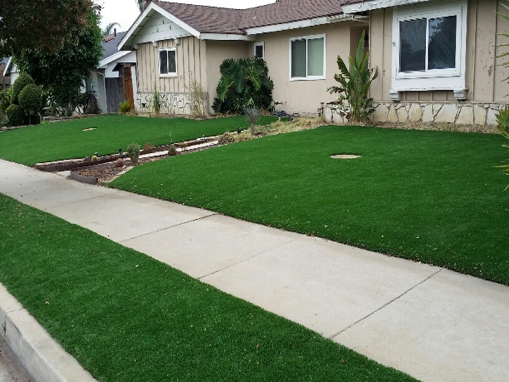 Outdoor Carpet Wheeler Air Force Base, Hawaii Landscape Ideas, Front Yard