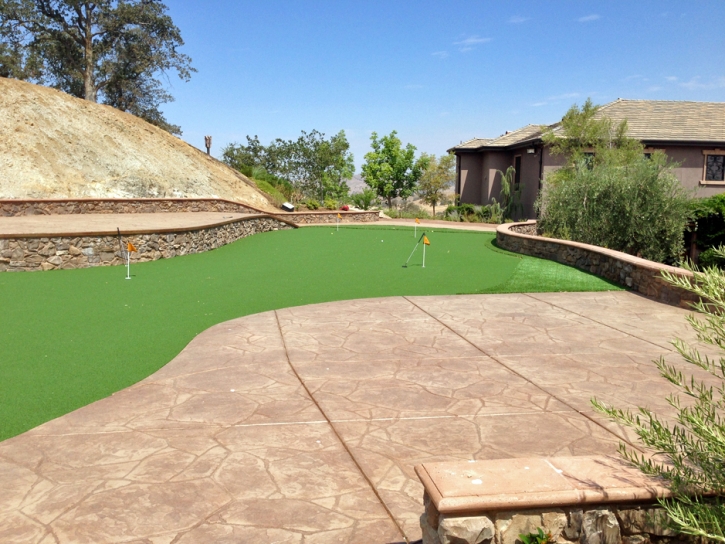 Plastic Grass Ewa Gentry, Hawaii Indoor Putting Greens, Backyard Ideas