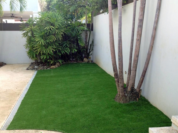 Plastic Grass Naalehu, Hawaii Landscaping, Backyard Landscaping Ideas