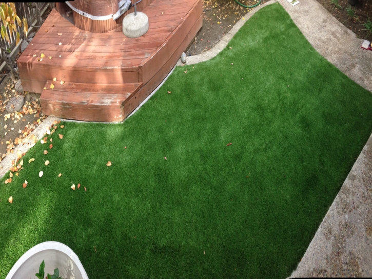 Plastic Grass Whitmore Village, Hawaii Rooftop, Small Backyard Ideas