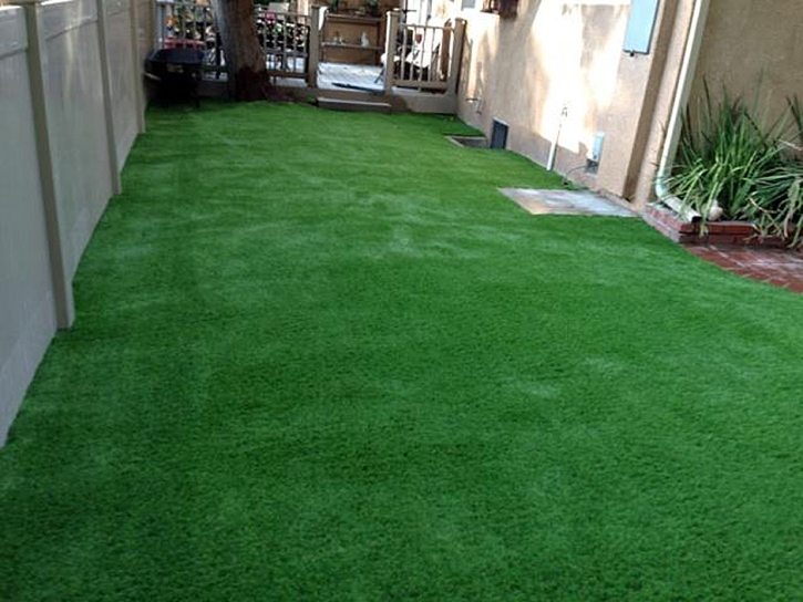 Synthetic Grass Cost Kailua-Kona, Hawaii Roof Top, Backyard Landscape Ideas