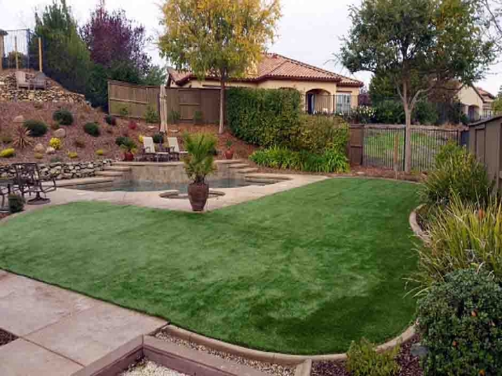 Synthetic Grass Cost Kualapuu, Hawaii Backyard Playground, Backyard Design