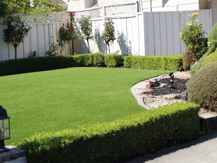 Synthetic Grass Cost Kukuihaele, Hawaii City Landscape, Backyard Ideas