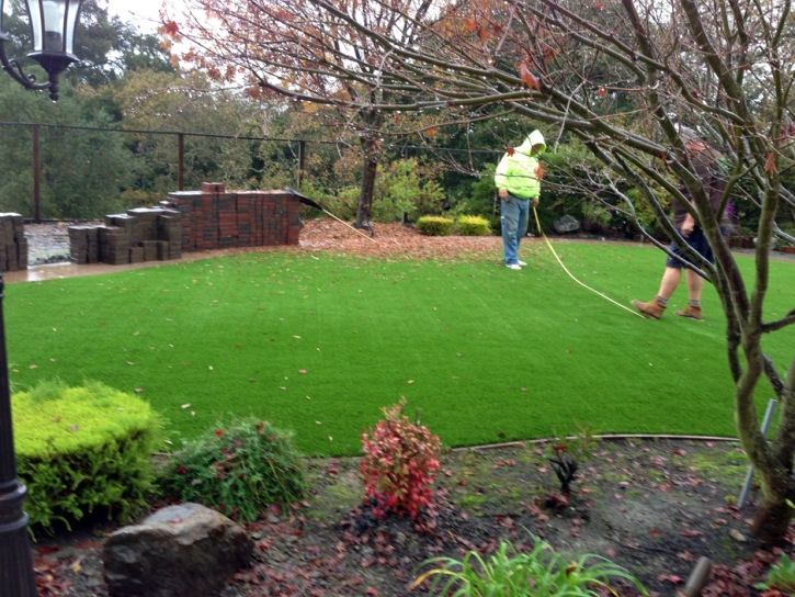 Synthetic Grass Kahaluu, Hawaii Lawns, Small Backyard Ideas