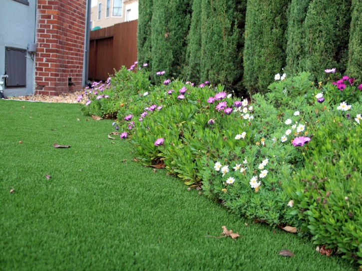 Synthetic Grass Kealakekua, Hawaii Backyard Deck Ideas, Front Yard Landscape Ideas