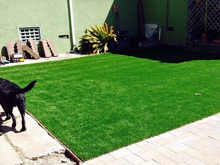 Synthetic Grass Kilauea, Hawaii Gardeners, Dogs Runs