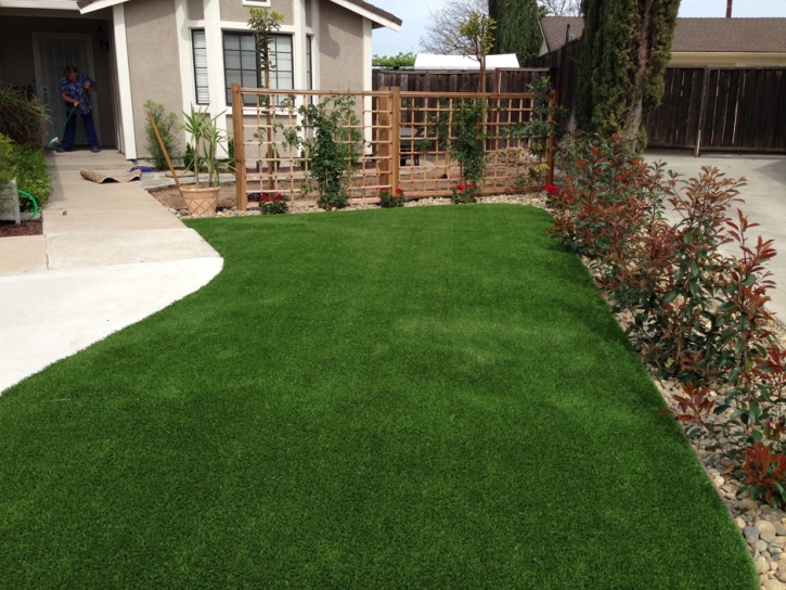 Synthetic Grass Lihue, Hawaii Backyard Playground, Front Yard Landscape Ideas