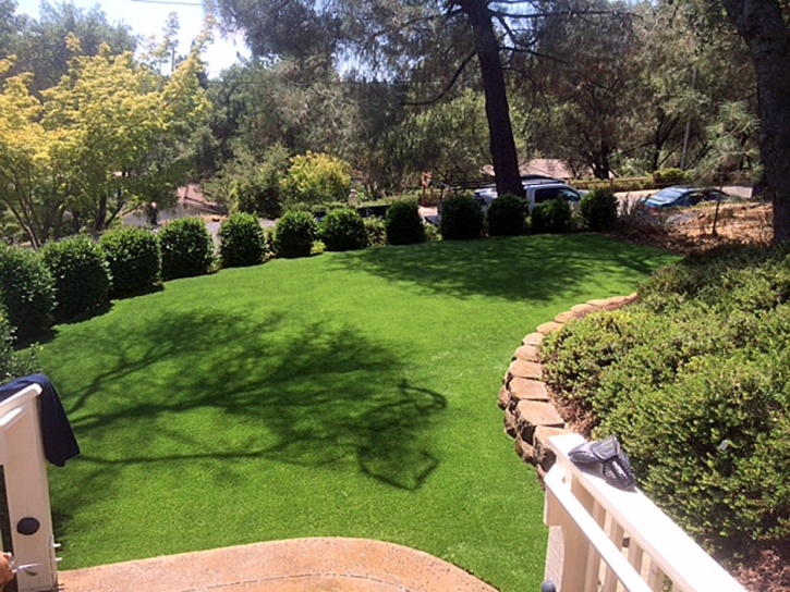 Synthetic Grass Maunawili, Hawaii Roof Top, Backyards