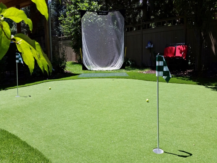 Synthetic Grass Waipio Acres, Hawaii Landscaping, Backyard Design