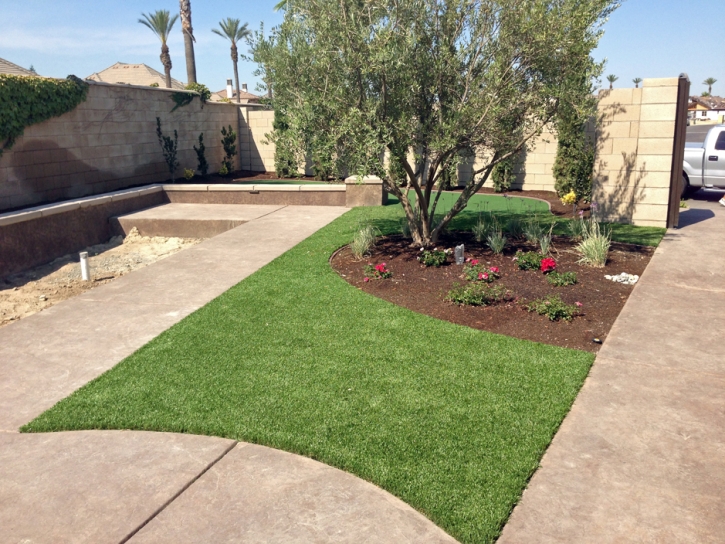 Synthetic Lawn Fern Forest, Hawaii Paver Patio, Front Yard Ideas