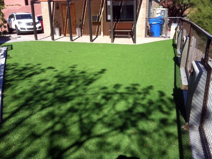 Synthetic Lawn Kaneohe, Hawaii City Landscape, Backyard Garden Ideas