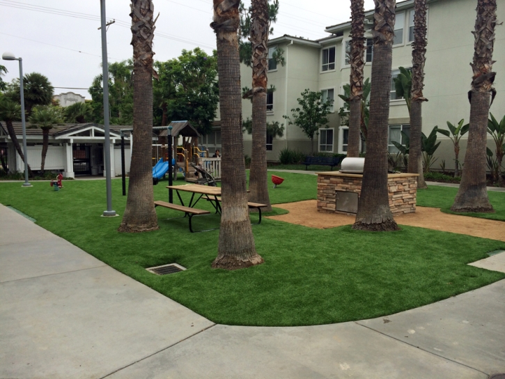 Synthetic Lawn Keaau, Hawaii Home And Garden, Commercial Landscape