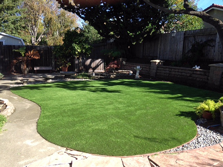 Synthetic Lawn Pearl City, Hawaii Landscape Ideas, Backyard