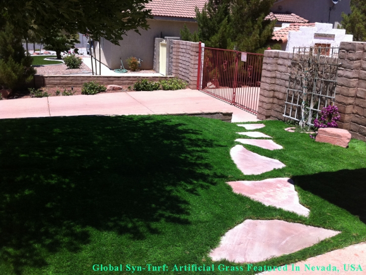 Synthetic Turf Halawa, Hawaii Dog Park, Front Yard Ideas