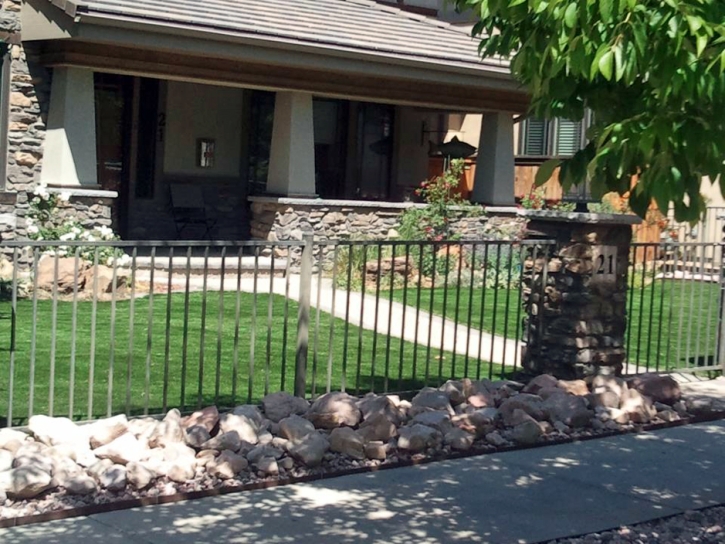 Synthetic Turf Haleiwa, Hawaii Gardeners, Front Yard Design