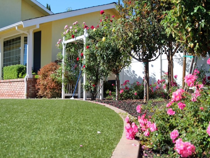 Synthetic Turf Hana, Hawaii Roof Top, Small Front Yard Landscaping