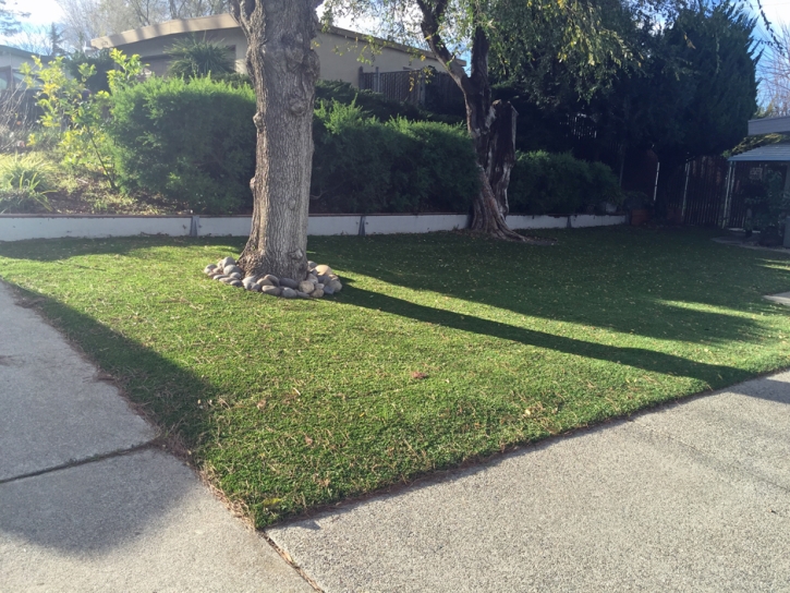 Synthetic Turf Honomu, Hawaii Roof Top, Front Yard Landscaping