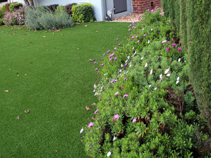 Synthetic Turf Kilauea, Hawaii Backyard Playground, Front Yard Landscaping Ideas