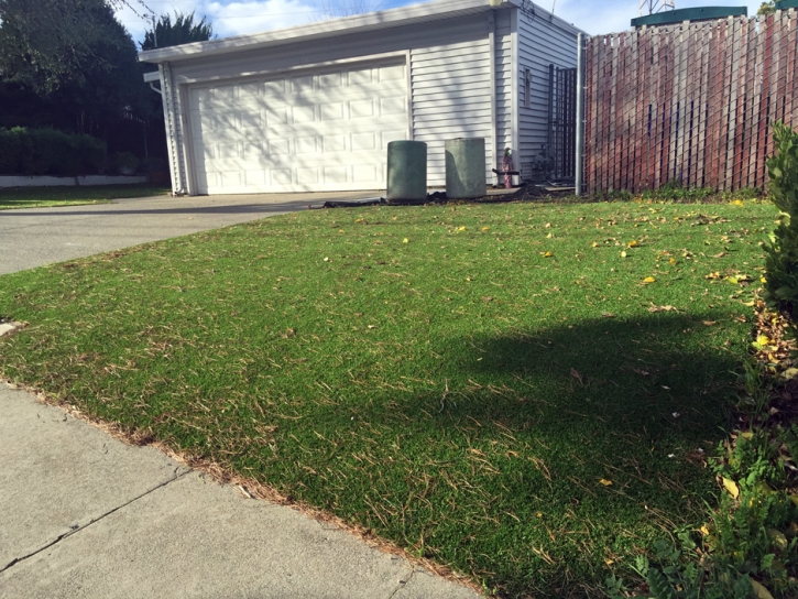 Synthetic Turf Maalaea, Hawaii Roof Top, Small Front Yard Landscaping