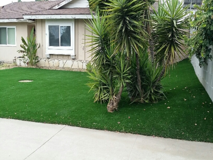 Synthetic Turf Makaha Valley, Hawaii Paver Patio, Front Yard Landscaping