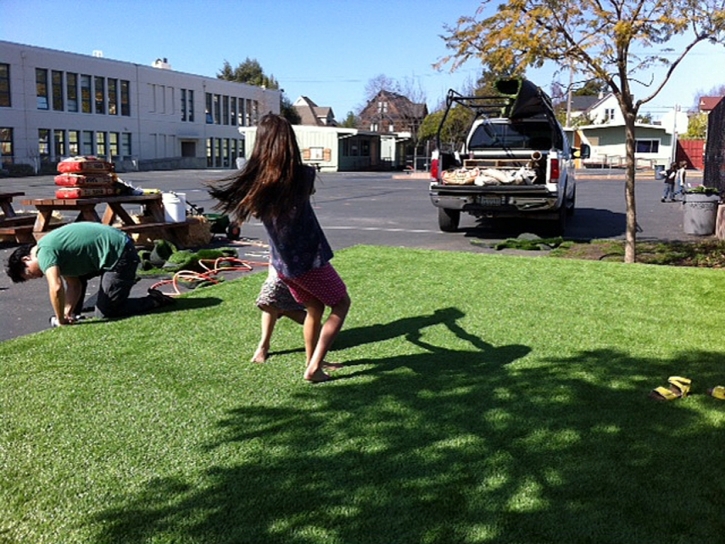 Synthetic Turf Princeville, Hawaii Lawn And Landscape, Commercial Landscape