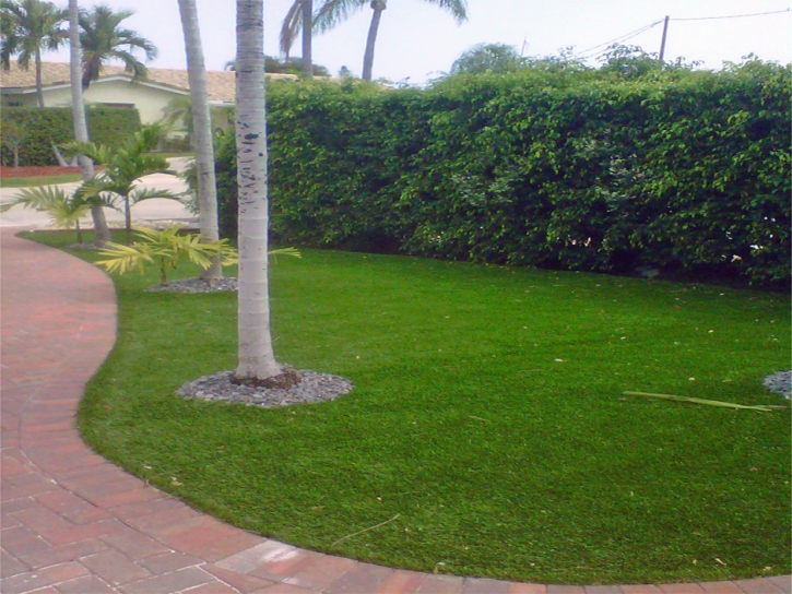 Synthetic Turf Supplier Captain Cook, Hawaii Paver Patio, Small Front Yard Landscaping