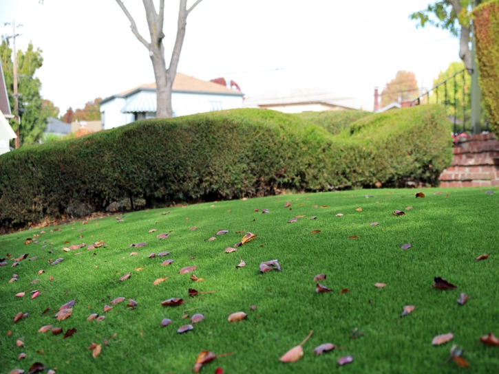 Synthetic Turf Supplier Hawaiian Paradise Park, Hawaii Lawn And Garden, Front Yard Landscape Ideas