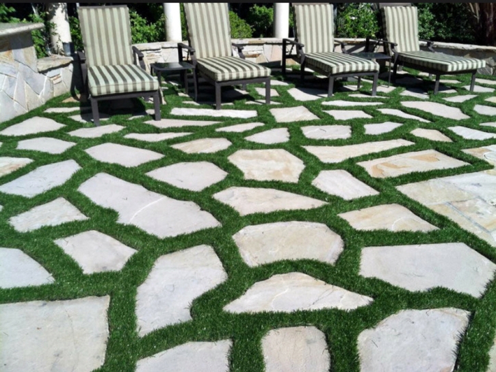 Synthetic Turf Supplier Honaunau-Napoopoo, Hawaii City Landscape, Backyard Landscaping