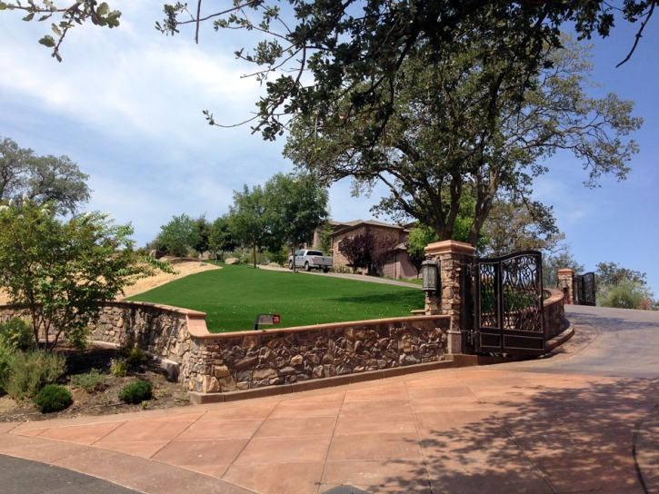 Synthetic Turf Supplier Kihei, Hawaii Garden Ideas, Front Yard Ideas