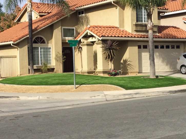 Synthetic Turf Supplier Leilani Estates, Hawaii Roof Top, Front Yard Design