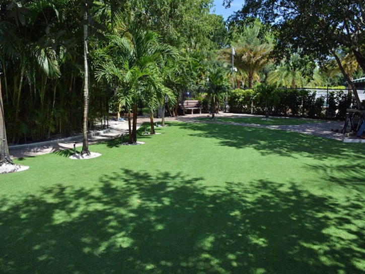 Synthetic Turf Supplier Pakala Village, Hawaii Landscape Design, Commercial Landscape