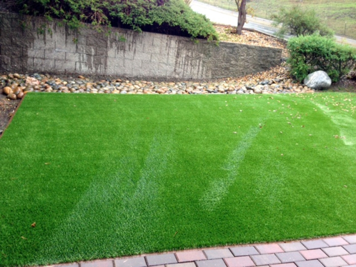 Synthetic Turf Supplier Wainiha, Hawaii Paver Patio, Front Yard Landscaping