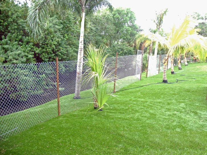 Synthetic Turf Supplier Wheeler Air Force Base, Hawaii Landscaping, Beautiful Backyards