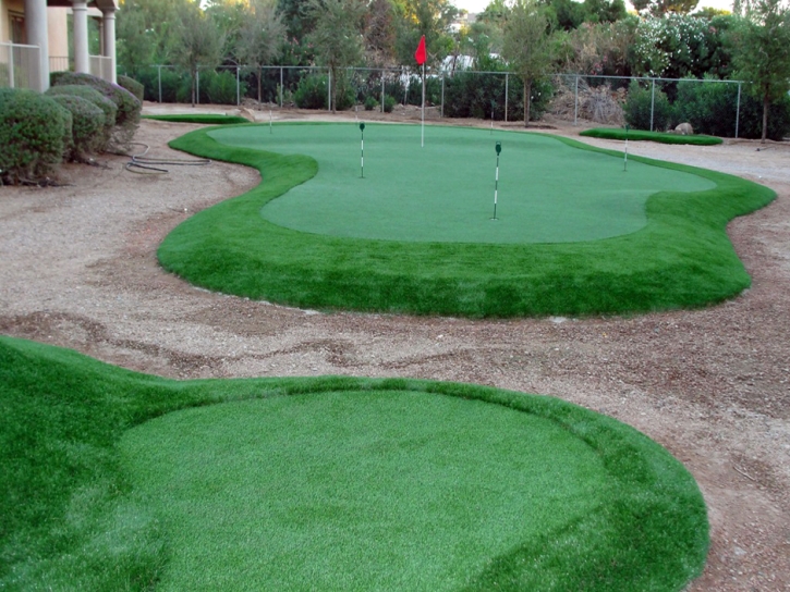 Synthetic Turf Waimea, Hawaii Putting Greens, Backyard Ideas