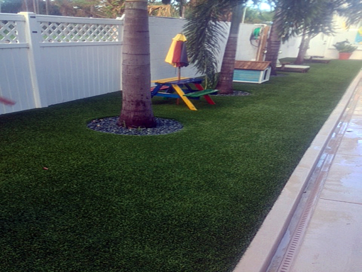 Turf Grass Wainaku, Hawaii Backyard Playground, Backyard