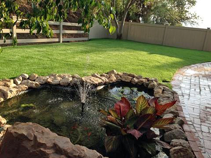 Turf Grass Waipio Acres, Hawaii Landscape Ideas, Backyard